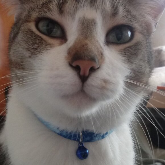 Meet your Posher, Dan - Picture 2 of 2